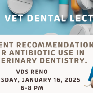 RENO | Antibiotics CE Lecture (1/16/25)